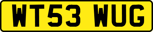 WT53WUG