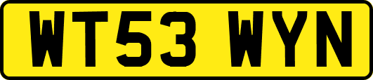 WT53WYN
