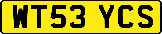 WT53YCS