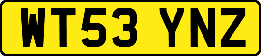 WT53YNZ