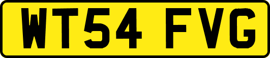WT54FVG