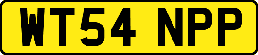 WT54NPP