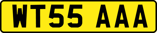 WT55AAA