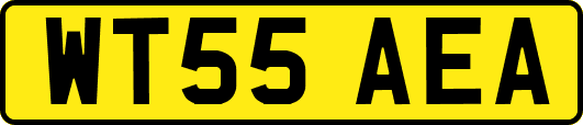 WT55AEA