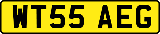 WT55AEG