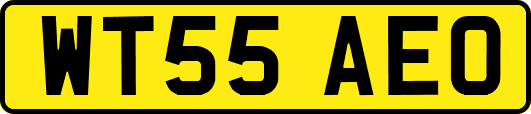 WT55AEO
