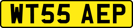 WT55AEP