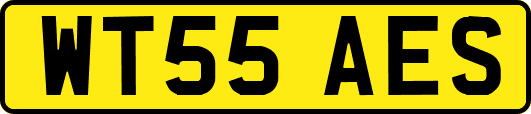 WT55AES