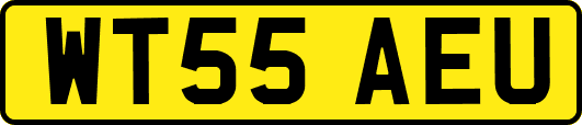 WT55AEU