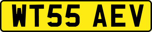 WT55AEV