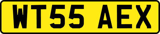 WT55AEX