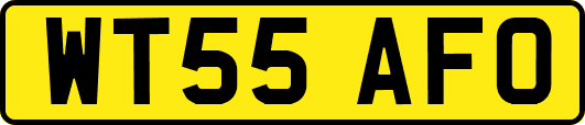 WT55AFO