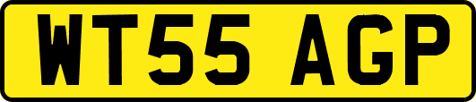 WT55AGP