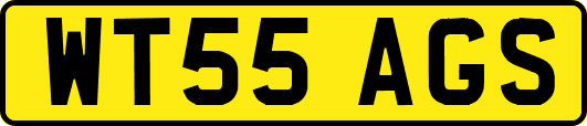 WT55AGS