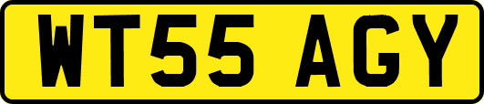 WT55AGY