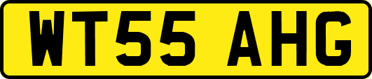 WT55AHG