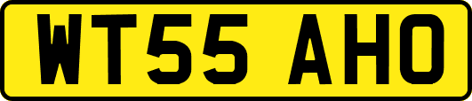 WT55AHO