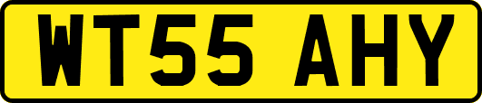 WT55AHY
