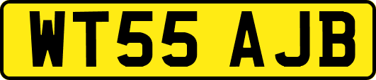 WT55AJB