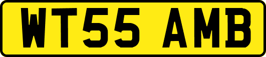 WT55AMB