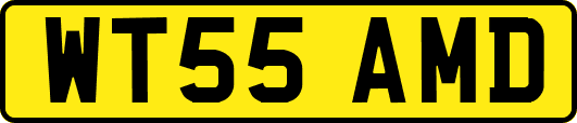 WT55AMD