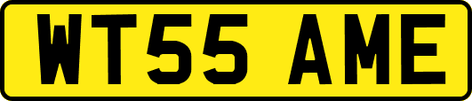 WT55AME