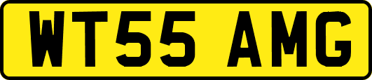 WT55AMG