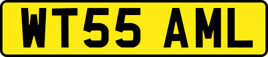 WT55AML