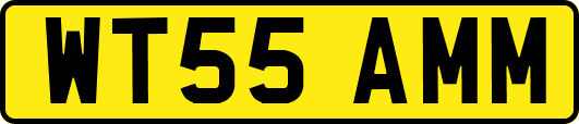 WT55AMM