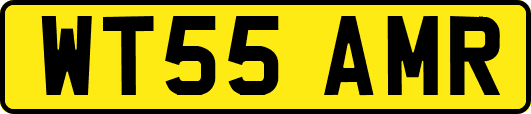 WT55AMR
