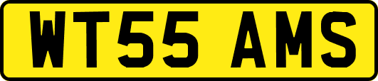 WT55AMS