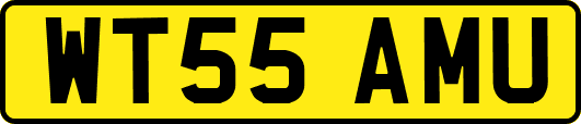 WT55AMU