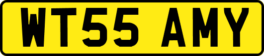 WT55AMY