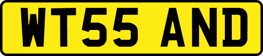 WT55AND