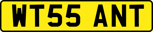 WT55ANT
