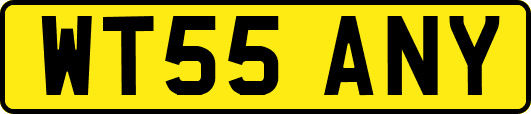 WT55ANY