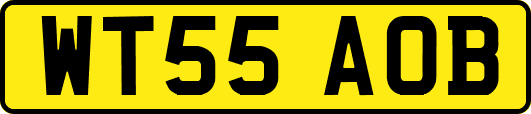 WT55AOB