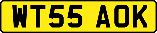 WT55AOK
