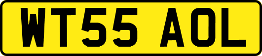 WT55AOL