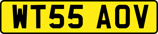 WT55AOV