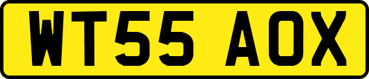 WT55AOX