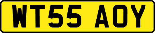 WT55AOY