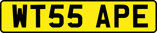 WT55APE