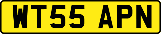 WT55APN