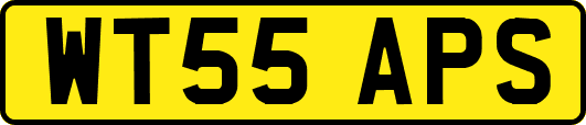 WT55APS