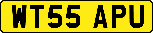 WT55APU