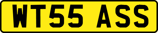 WT55ASS
