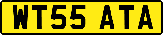WT55ATA