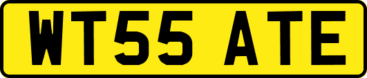 WT55ATE
