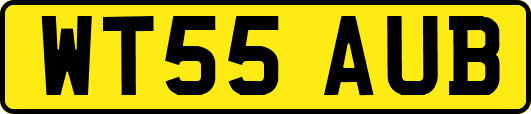 WT55AUB